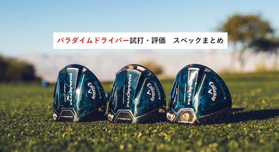 パラダイムドライバー評価・口コミまとめ～斬新なデザインがかっこいい！～